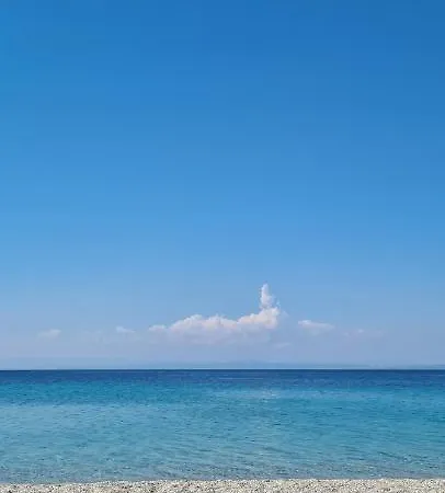 Galini * 크리오피지